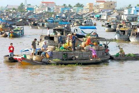 Sự Bùng Nổ Của Video Ngắn và Trí Tuệ Nhân Tạo: Vai Trò Thiết Yếu Của Đào Tạo Kỹ Năng Sáng Tạo Nội Dung_video kể về tín hiệu