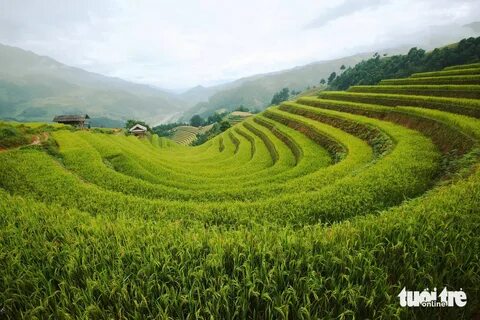 Sự Bùng Nổ Của Video Ngắn và Trí Tuệ Nhân Tạo: Vai Trò Thiết Yếu Của Đào Tạo Kỹ Năng Sáng Tạo Nội Dung_Ý tưởng video ngắn