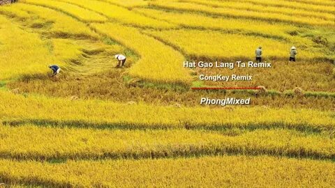 Freelancer Và Cơ Hội Kiếm Tiền Từ Nền Tảng Hotspot Matrix
