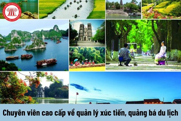 Hotspot Matrix - Giải Pháp Toàn Diện Cho Truyền Thông Số_Khóa học digital marketing trực tuyến